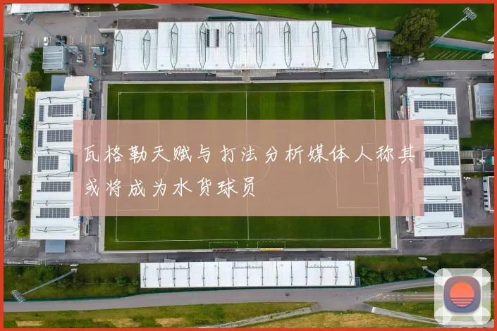 瓦格勒天赋与打法分析媒体人称其或将成为水货球员